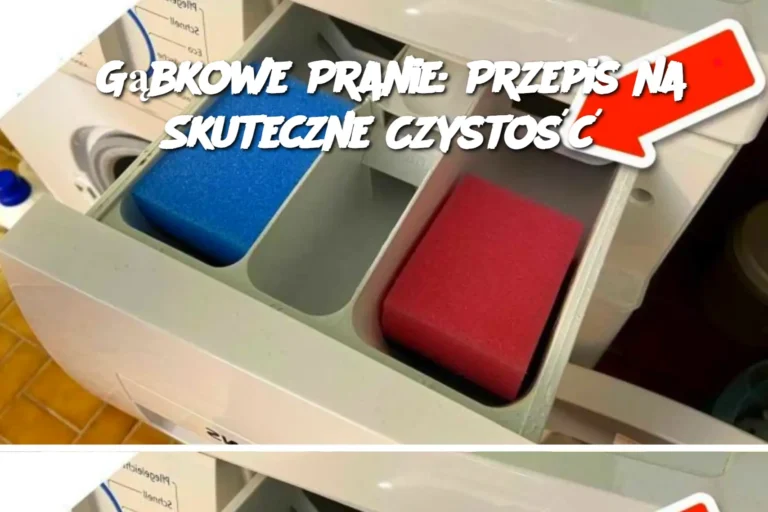 G_bkowe_Pranie__Przepis_na_Skuteczne_Czysto__