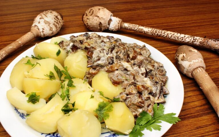 Kania___Wyj_tkowy_Grzyb__Odkryj_5_Szybkich_i_Pysznych_Przepis_w