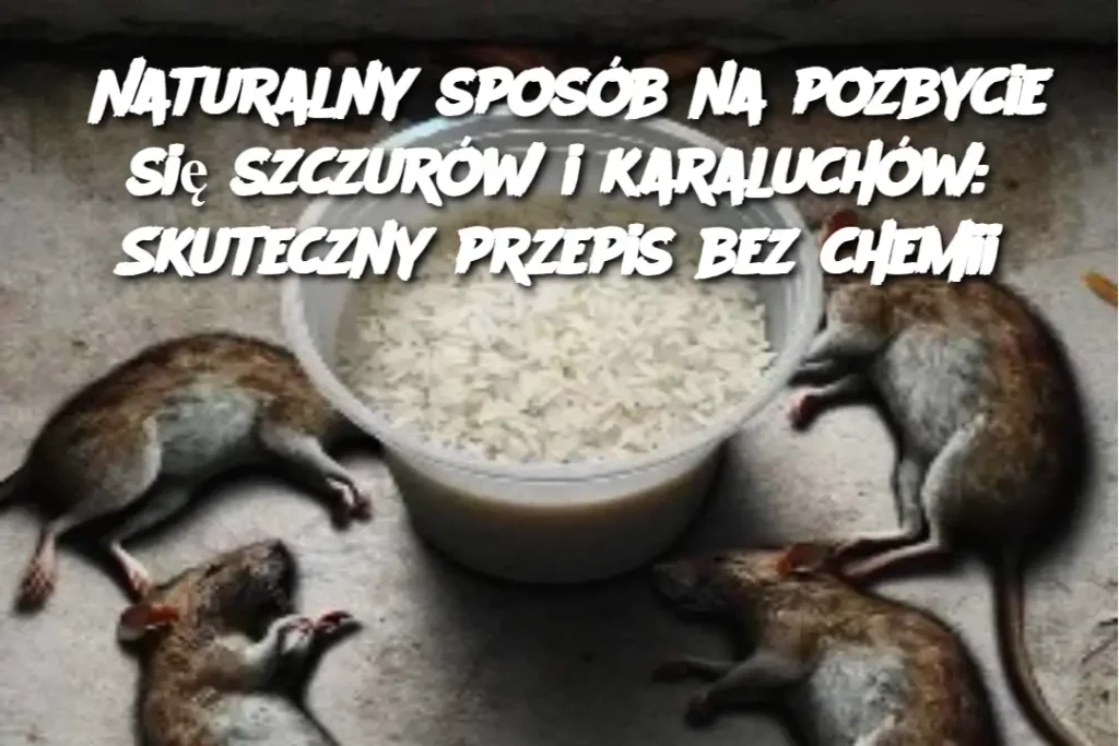 Naturalny_spos_b_na_pozbycie_si__szczur_w_i_karaluch_w__Skuteczny_przepis_bez_chemii-1