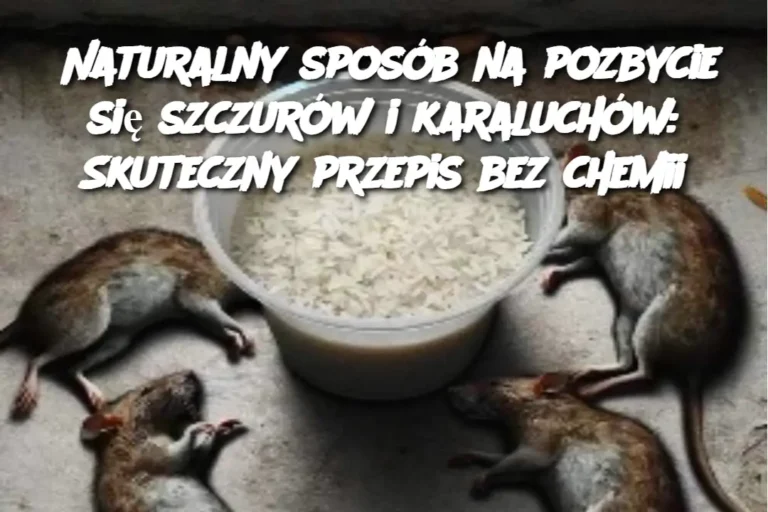 Naturalny_spos_b_na_pozbycie_si__szczur_w_i_karaluch_w__Skuteczny_przepis_bez_chemii