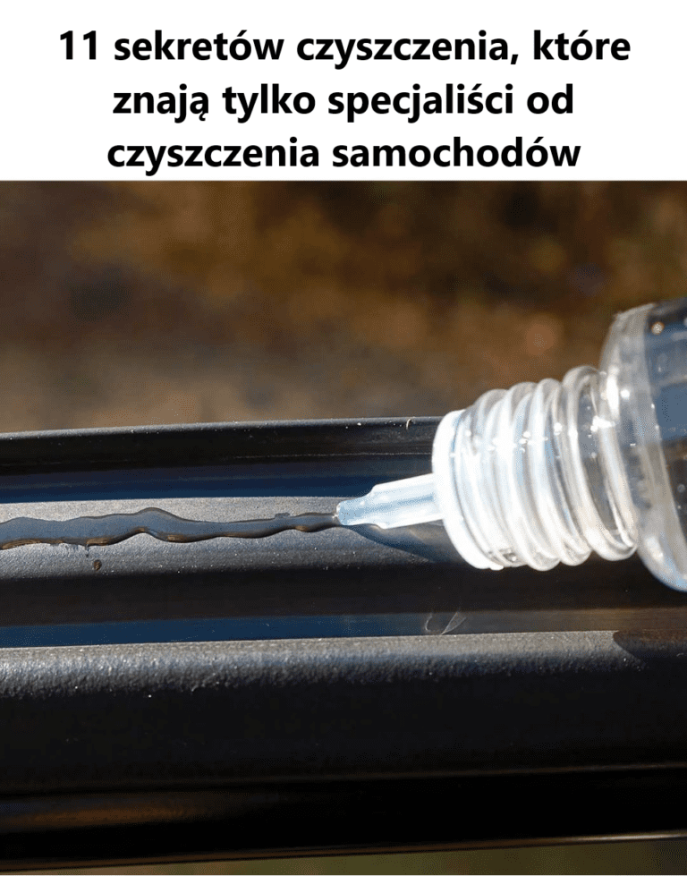 11_sekret_w_piel_gnacji_samochod_w__dzi_ki_kt_rym_uzyskasz_wyko_czenie_jak_w_salonie