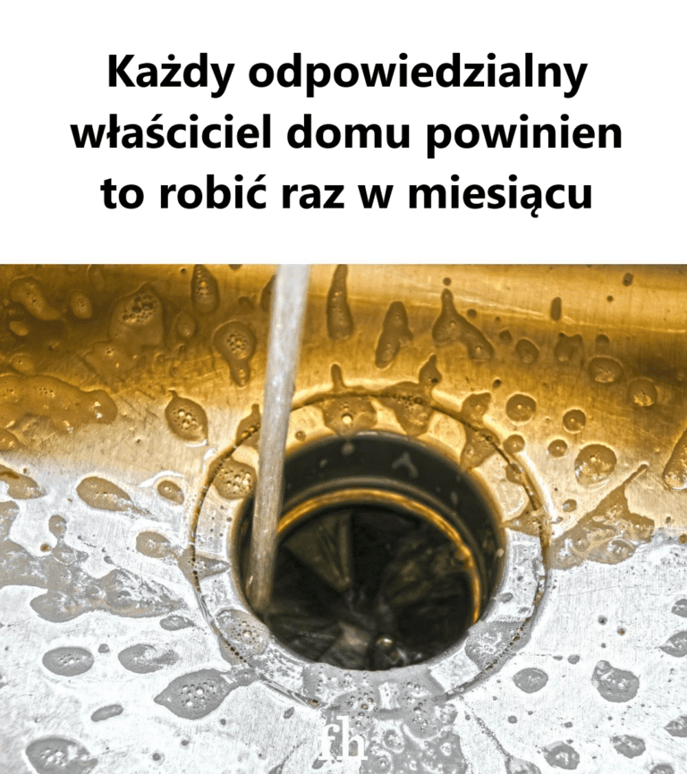 15_rzeczy__kt_re_w_a_ciciele_dom_w_musz__robi__raz_w_miesi_cu