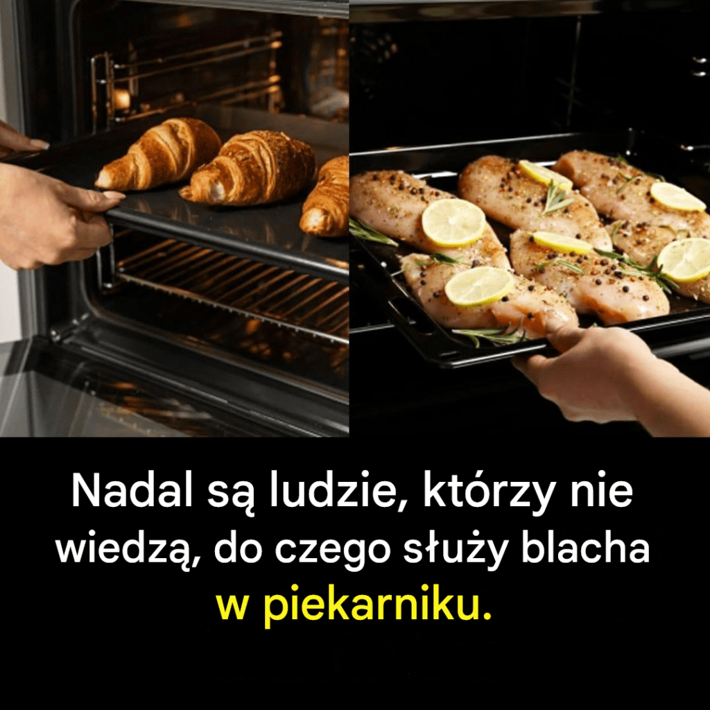 Ale_do_czego_s_u_y_talerz_w_piekarniku_ Ale_do_czego_s_u_y_talerz_w_piekarniku_