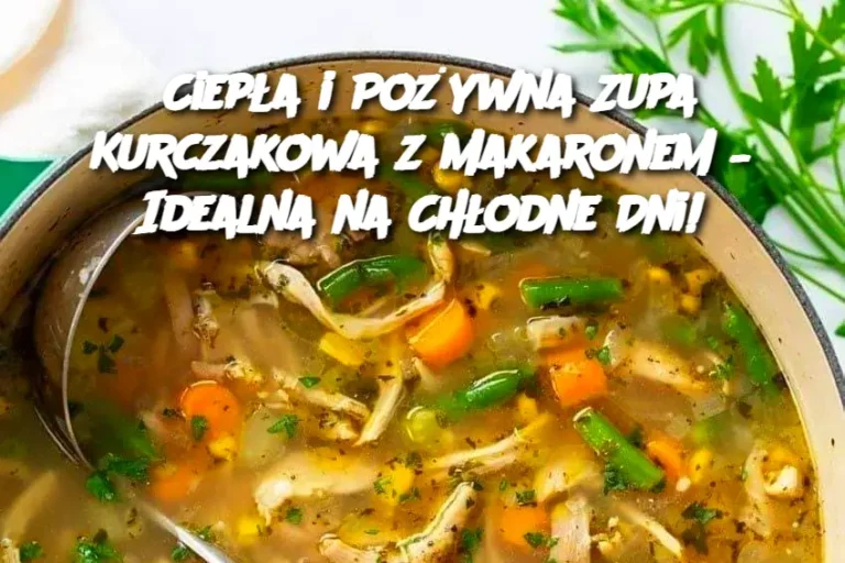 Ciep_a_i_Po_ywna_Zupa_Kurczakowa_z_Makaronem___Idealna_na_Ch_odne_Dni_