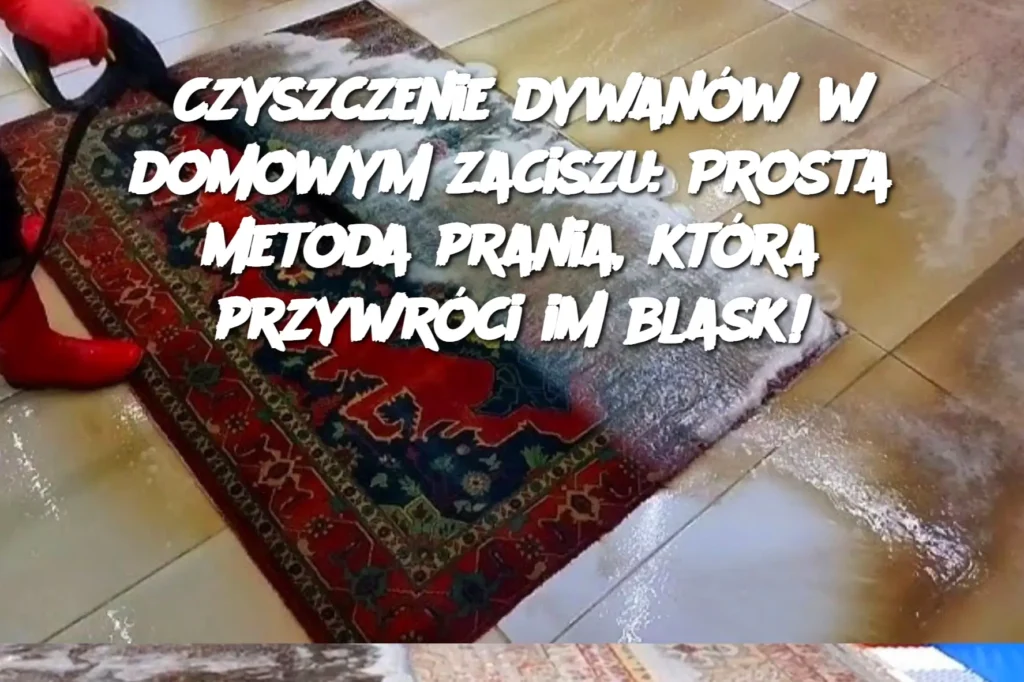 Czyszczenie_dywan_w_w_domowym_zaciszu__Prosta_metoda_prania__kt_ra_przywr_ci_im_blask_ Czyszczenie_dywan_w_w_domowym_zaciszu__Prosta_metoda_prania__kt_ra_przywr_ci_im_blask_