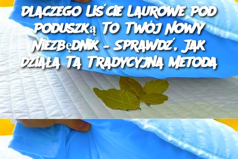Dlaczego_Li_cie_Laurowe_Pod_Poduszk__To_Tw_j_Nowy_Niezb_dnik___Sprawd___Jak_Dzia_a_Ta_Tradycyjna_Metoda