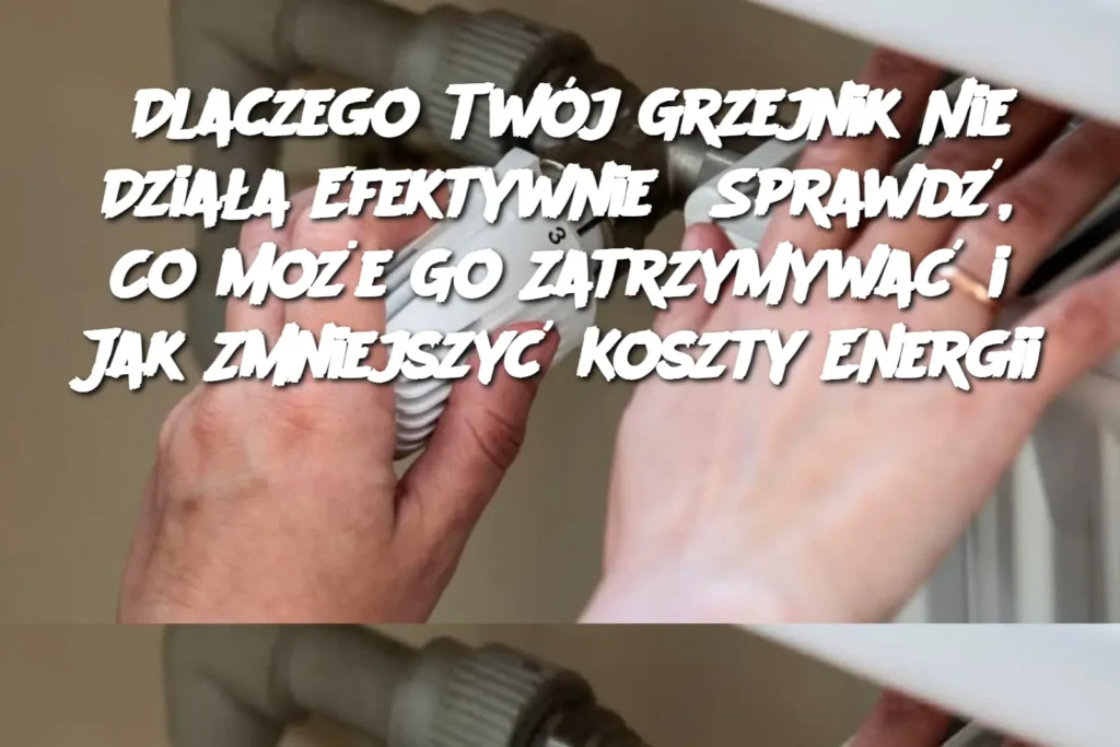 Dlaczego_Tw_j_Grzejnik_Nie_Dzia_a_Efektywnie__Sprawd___Co_Mo_e_Go_Zatrzymywa__i_Jak_Zmniejszy__Koszty_Energii Dlaczego_Tw_j_Grzejnik_Nie_Dzia_a_Efektywnie__Sprawd___Co_Mo_e_Go_Zatrzymywa__i_Jak_Zmniejszy__Koszty_Energii