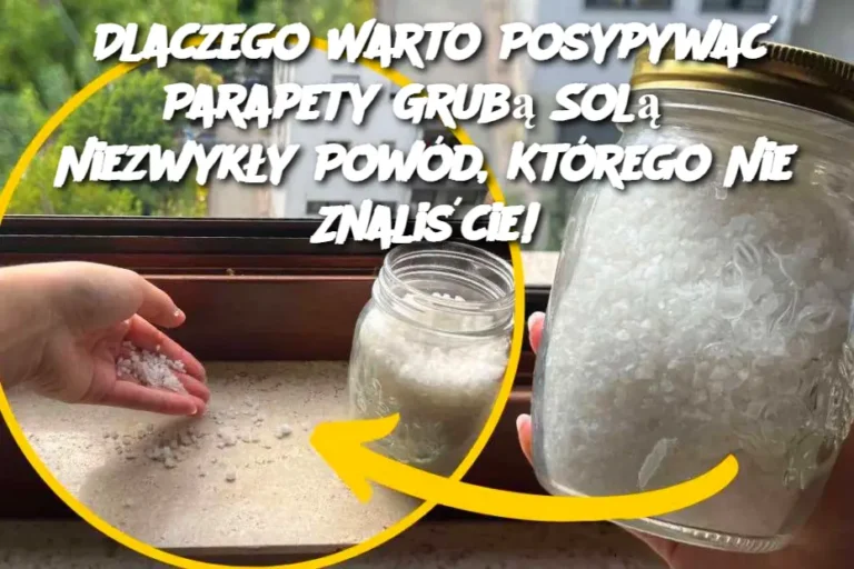 Dlaczego_Warto_Posypywa__Parapety_Grub__Sol___Niezwyk_y_Pow_d__Kt_rego_Nie_Znali_cie_-1