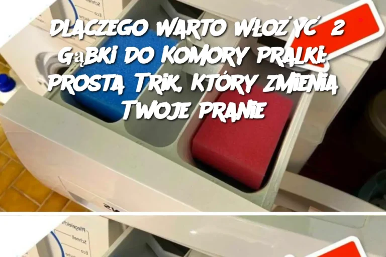 Dlaczego_Warto_W_o_y__2_G_bki_Do_Komory_Pralki__Prosta_Trik__Kt_ry_Zmienia_Twoje_Pranie