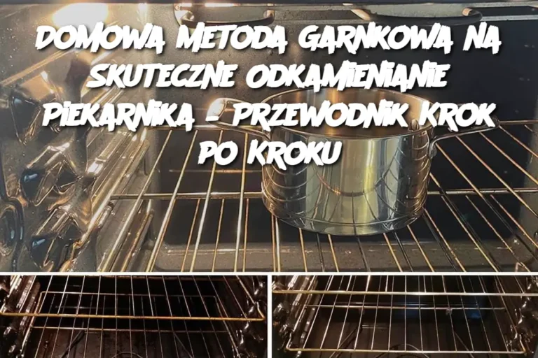 Domowa_Metoda_Garnkowa_na_Skuteczne_Odkamienianie_Piekarnika___Przewodnik_Krok_po_Kroku