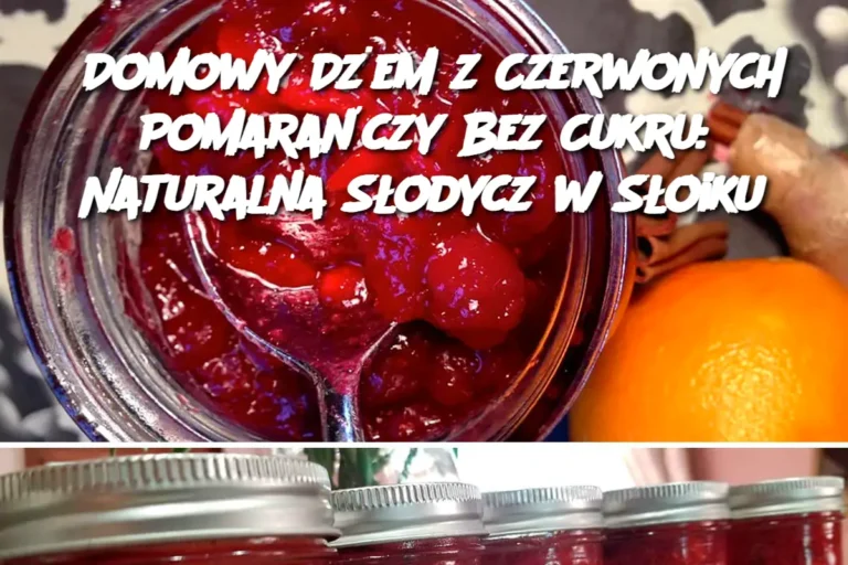 Domowy_D_em_z_Czerwonych_Pomara_czy_Bez_Cukru__Naturalna_S_odycz_w_S_oiku