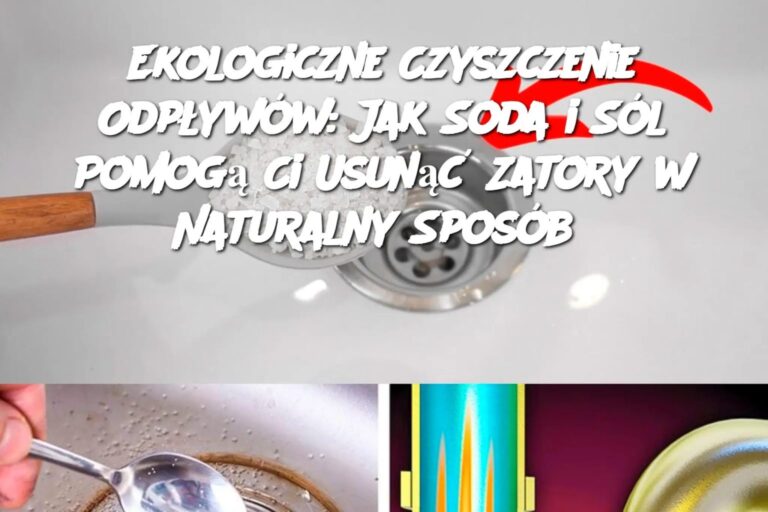 Ekologiczne_Czyszczenie_Odp_yw_w__Jak_Soda_i_S_l_Pomog__Ci_Usun___Zatory_w_Naturalny_Spos_b