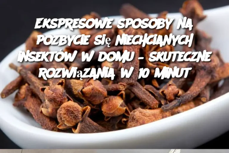Ekspresowe_sposoby_na_pozbycie_si__niechcianych_insekt_w_w_domu___skuteczne_rozwi_zania_w_10_minut