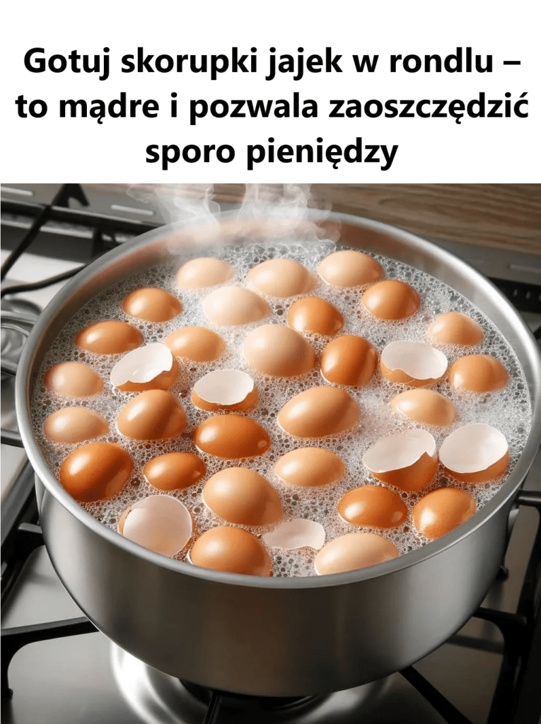 Gotuj_skorupki_jajek_w_rondlu___to_m_dre_i_pozwala_zaoszcz_dzi__sporo_pieni_dzy Gotuj_skorupki_jajek_w_rondlu___to_m_dre_i_pozwala_zaoszcz_dzi__sporo_pieni_dzy