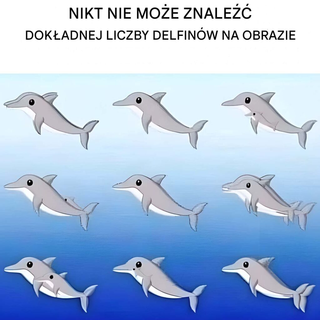 Ile_delfin_w_widzisz_na_obrazku_ Ile_delfin_w_widzisz_na_obrazku_