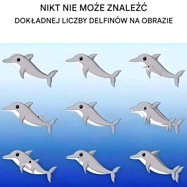 Ile_delfin_w_widzisz_na_obrazku_