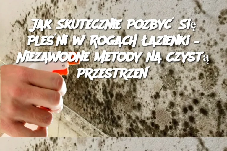 Jak_Skutecznie_Pozby__Si__Ple_ni_w_Rogach__azienki___Niezawodne_Metody_na_Czyst__Przestrze_