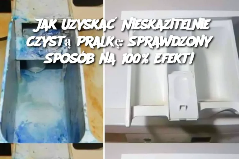 Jak_Uzyska__Nieskazitelnie_Czyst__Pralk___Sprawdzony_Spos_b_na_100__Efekt_