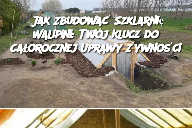 Jak_Zbudowa__Szklarni__Walipini__Tw_j_Klucz_do_Ca_orocznej_Uprawy__ywno_ci