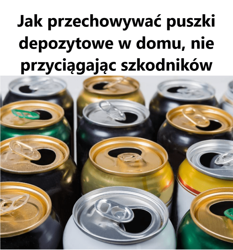 Jak_przechowywa__puszki_depozytowe_w_domu__nie_przyci_gaj_c_szkodnik_w