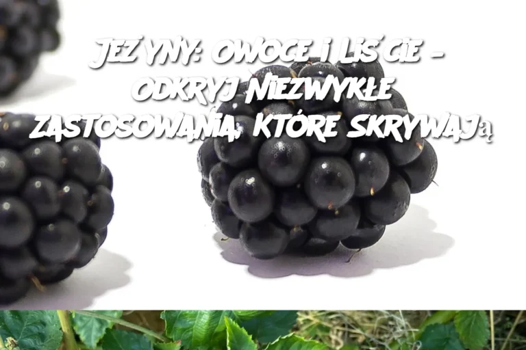 Je_yny__Owoce_i_Li_cie___Odkryj_Niezwyk_e_Zastosowania__Kt_re_Skrywaj_