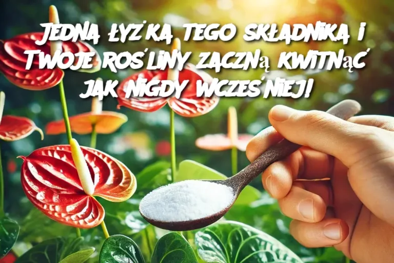 Jedna__y_ka_tego_sk_adnika_i_Twoje_ro_liny_zaczn__kwitn___jak_nigdy_wcze_niej_