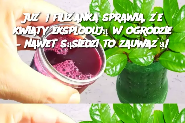 Ju__1_fili_anka_sprawia___e_kwiaty_eksploduj__w_ogrodzie___nawet_s_siedzi_to_zauwa___