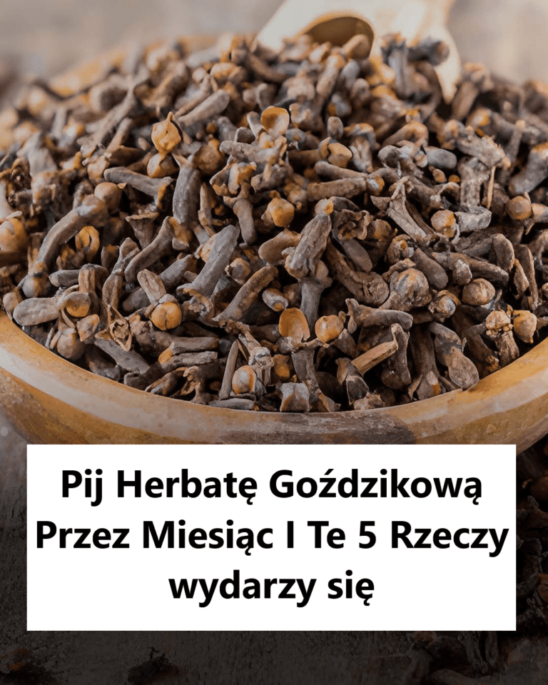 Korzy_ci_z_naparu_go_dzikowego