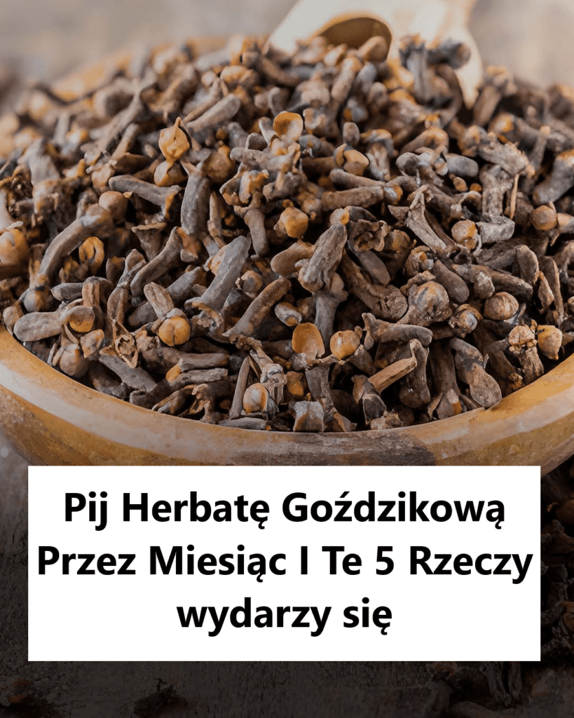 Korzy_ci_z_naparu_go_dzikowego Korzy_ci_z_naparu_go_dzikowego