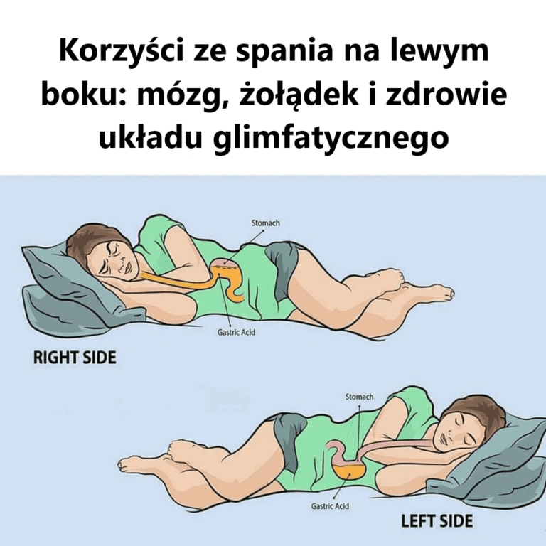 Korzy_ci_ze_spania_na_lewym_boku__m_zg___o__dek_i_zdrowie_uk_adu_glimfatycznego