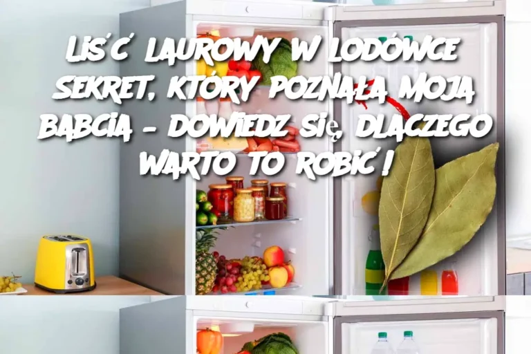 Li___laurowy_w_lod_wce__Sekret__kt_ry_pozna_a_moja_babcia___dowiedz_si___dlaczego_warto_to_robi__