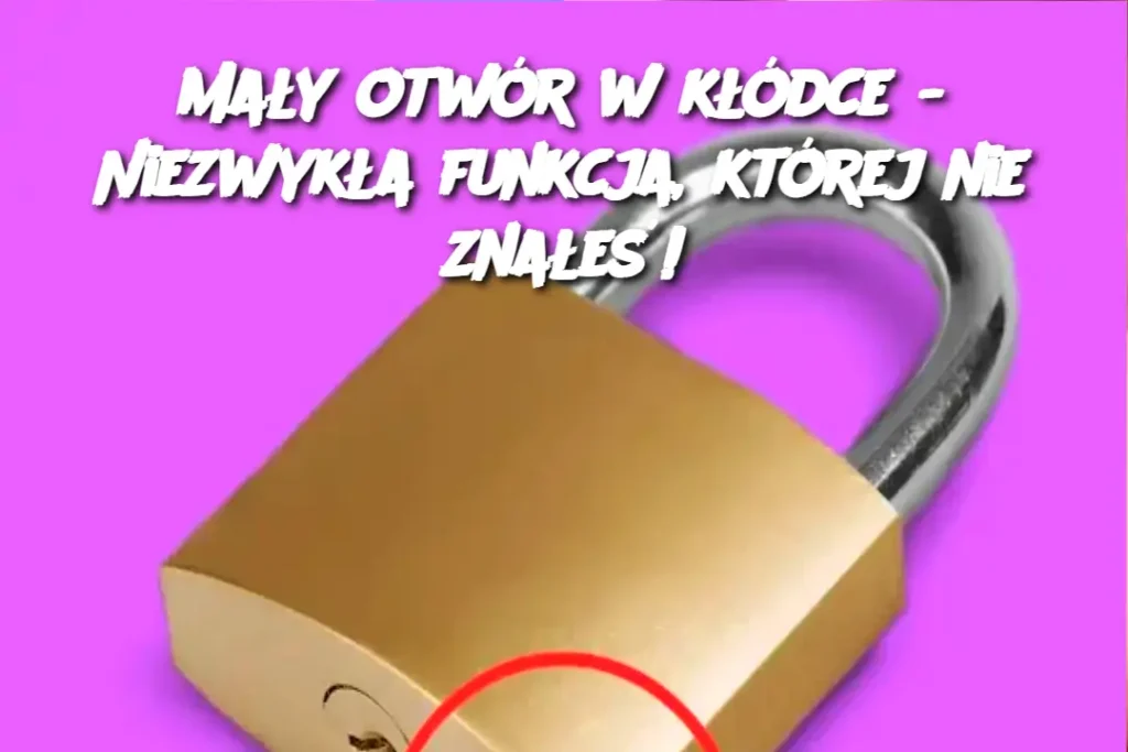 Ma_y_otw_r_w_k__dce___Niezwyk_a_funkcja__kt_rej_nie_zna_e__ Ma_y_otw_r_w_k__dce___Niezwyk_a_funkcja__kt_rej_nie_zna_e__