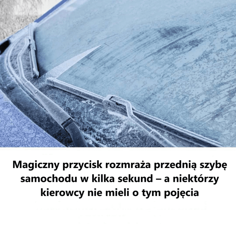 Magiczny_przycisk_rozmra_a_przedni__szyb__samochodu_w_ci_gu_kilku_sekund___a_niekt_rzy_kierowcy_nie_mieli_o_tym_poj_cia