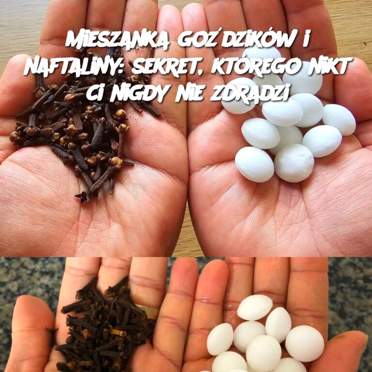 Mieszanka_go_dzik_w_i_naftaliny__sekret__kt_rego_nikt_ci_nigdy_nie_zdradzi