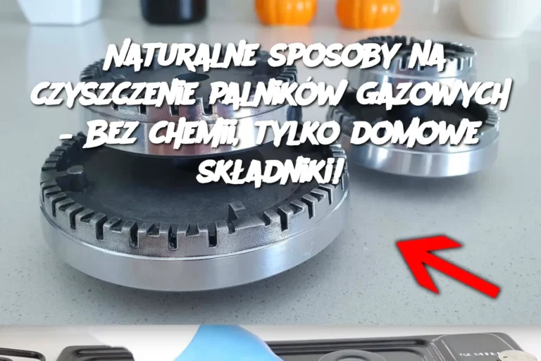 Naturalne_sposoby_na_czyszczenie_palnik_w_gazowych___Bez_chemii__tylko_domowe_sk_adniki_