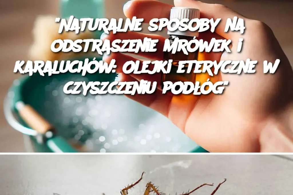 Naturalne_sposoby_na_odstraszenie_mr_wek_i_karaluch_w__Olejki_eteryczne_w_czyszczeniu_pod__g_ Naturalne_sposoby_na_odstraszenie_mr_wek_i_karaluch_w__Olejki_eteryczne_w_czyszczeniu_pod__g_