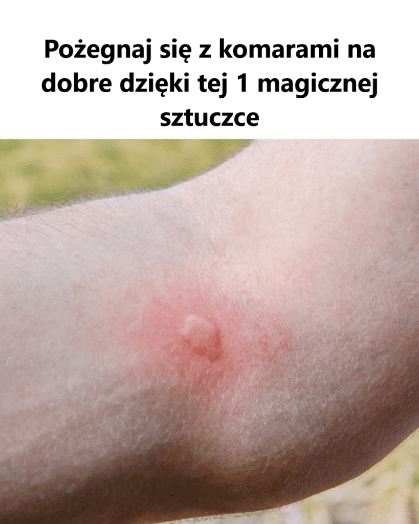 Nie_s_dzi_em___e_to_zadzia_a_ Nie_s_dzi_em___e_to_zadzia_a_