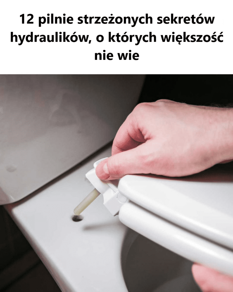 Nie_zna_em_wi_kszo_ci_z_nich__Mog__zaoszcz_dzi__mn_stwo_pieni_dzy_i_czasu_