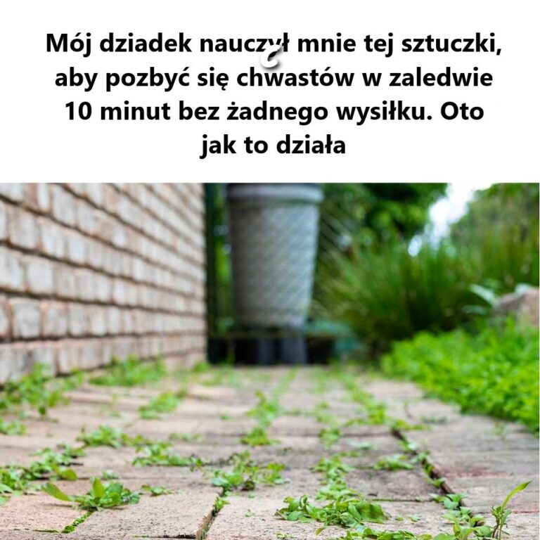 Niezwyk_a_Tajemnica__Kt_r__Powinno_Pozna__Ka_de_Kuchenne_Serce