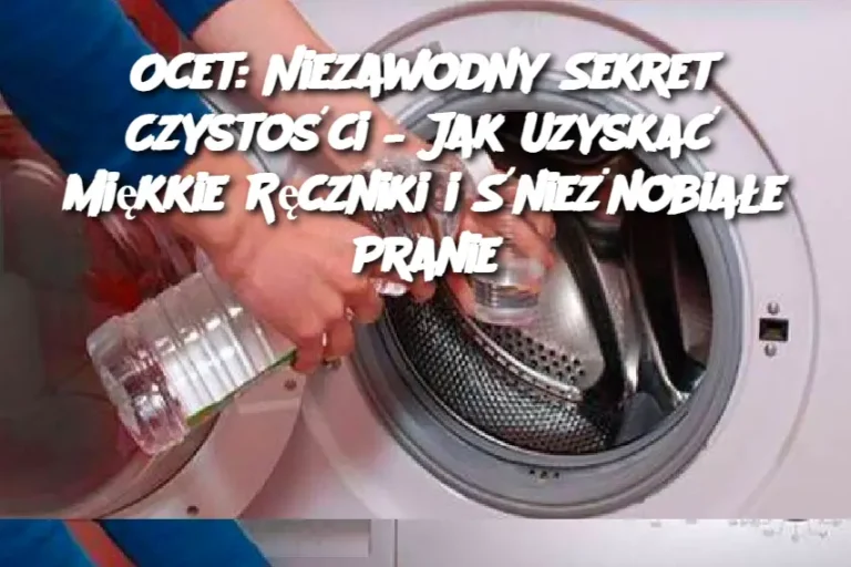 Ocet__Niezawodny_Sekret_Czysto_ci___Jak_Uzyska__Mi_kkie_R_czniki_i__nie_nobia_e_Pranie