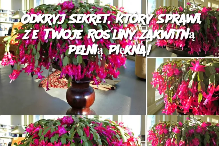 Odkryj_Sekret__Kt_ry_Sprawi___e_Twoje_Ro_liny_Zakwitn__Pe_ni__Pi_kna_
