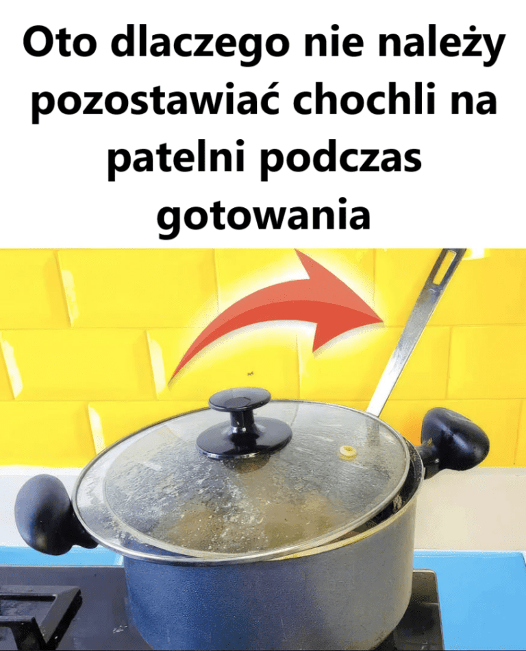 Oto_dlaczego_nie_nale_y_pozostawia__chochli_na_patelni_podczas_gotowania