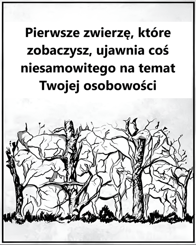 Pierwsze_zwierz___kt_re_zobaczysz__ujawnia_co__niesamowitego_na_temat_Twojej_osobowo_ci