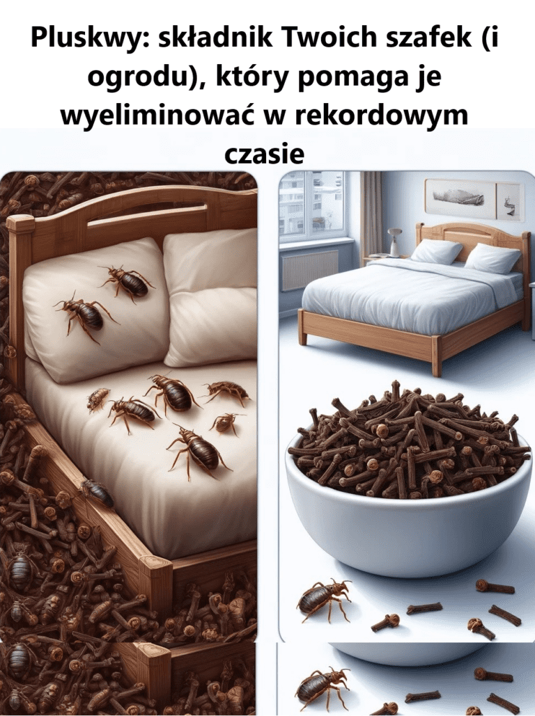 Pluskwy__sk_adnik_Twoich_szafek__i_ogrodu___kt_ry_pomaga_je_wyeliminowa__w_rekordowym_czasie