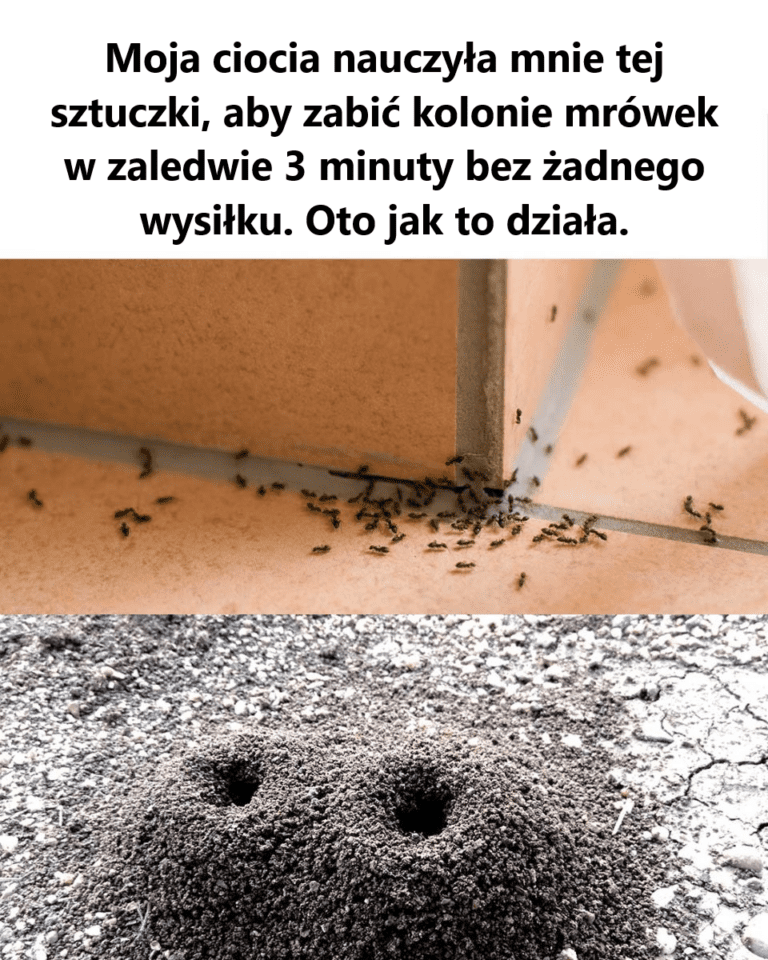 Po_egnaj_si__z_mr_wkami_w_swoim_domu_dzi_ki_tej_prostej_sztuczce