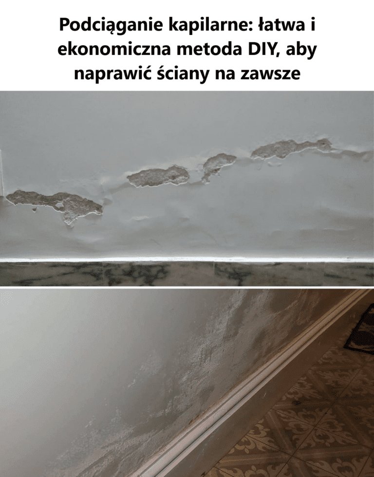 Podci_ganie_kapilarne___atwa_i_ekonomiczna_metoda_DIY__aby_naprawi___ciany_na_zawsze