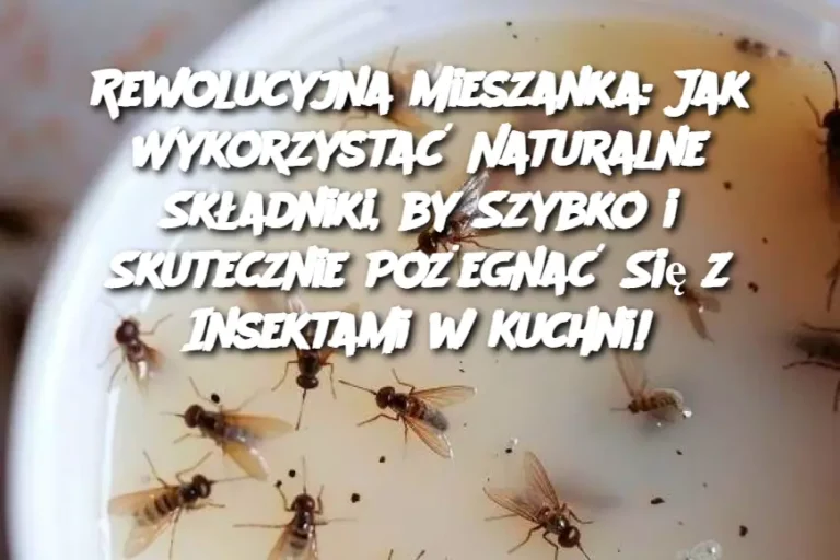 Rewolucyjna_Mieszanka__Jak_Wykorzysta__Naturalne_Sk_adniki__by_Szybko_i_Skutecznie_Po_egna__Si__z_Insektami_w_Kuchni_