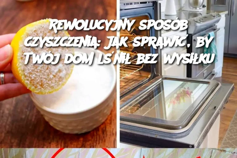 Rewolucyjny_spos_b_czyszczenia__Jak_sprawi___by_Tw_j_dom_l_ni__bez_wysi_ku