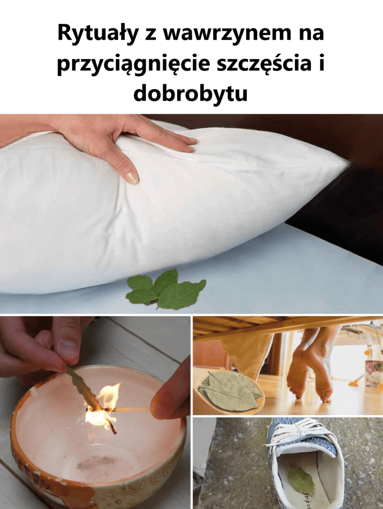 Rytua_y_z_wawrzynem_na_przyci_gni_cie_szcz__cia_i_dobrobytu Rytua_y_z_wawrzynem_na_przyci_gni_cie_szcz__cia_i_dobrobytu