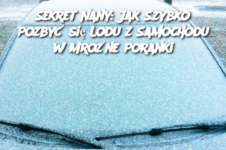 Sekret_Nany__Jak_Szybko_Pozby__si__Lodu_z_Samochodu_w_Mro_ne_Poranki-1